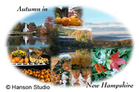 Autumn in New Hampshire Collage